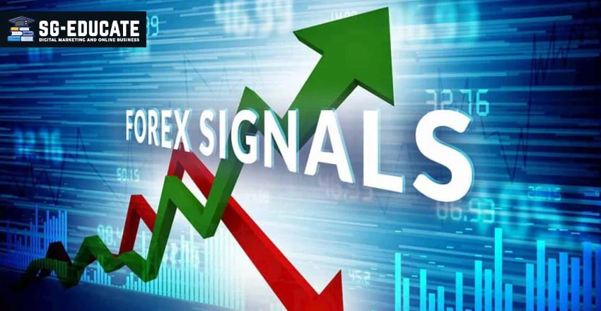 Forex Signal | Top 3 Ways to Find The Best Crypto and Forex Signals